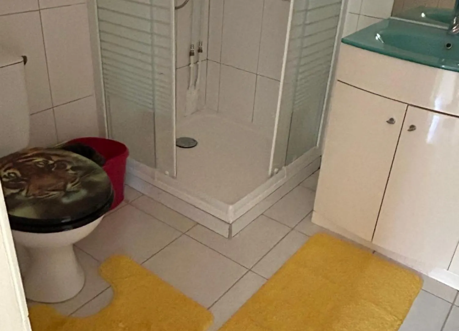 Apartament Douce Serenite Chambort
